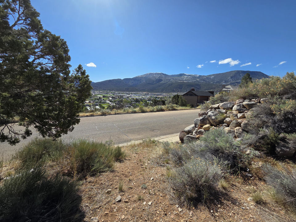 540 S Rose Hill RD, Cedar City, photo 3