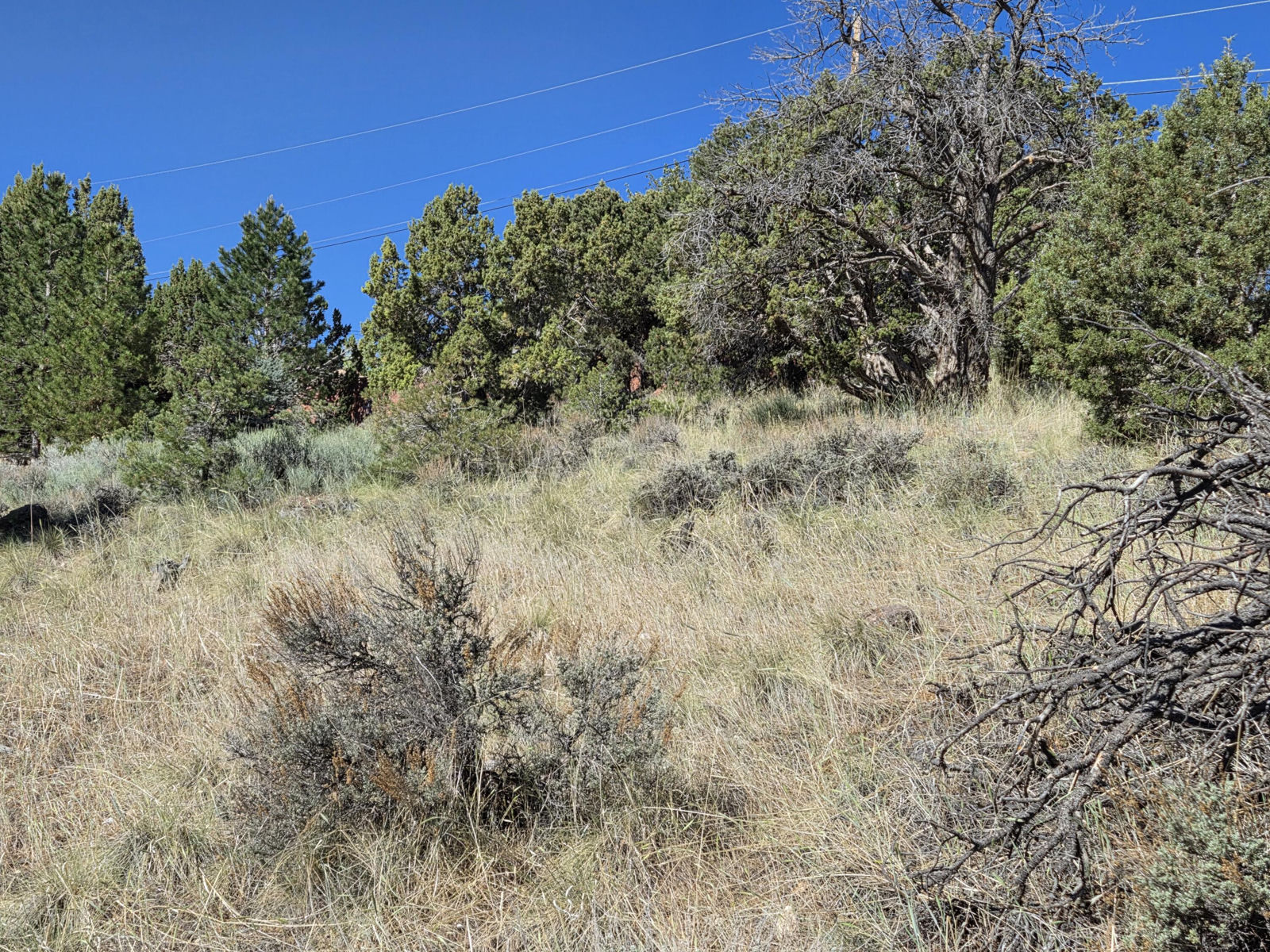 540 S Rose Hill RD, Cedar City, photo 6 of 20