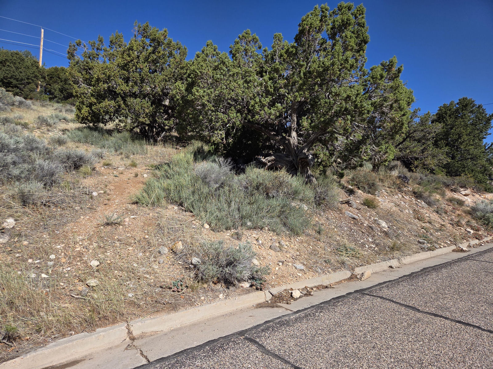 540 S Rose Hill RD, Cedar City, photo 12 of 20