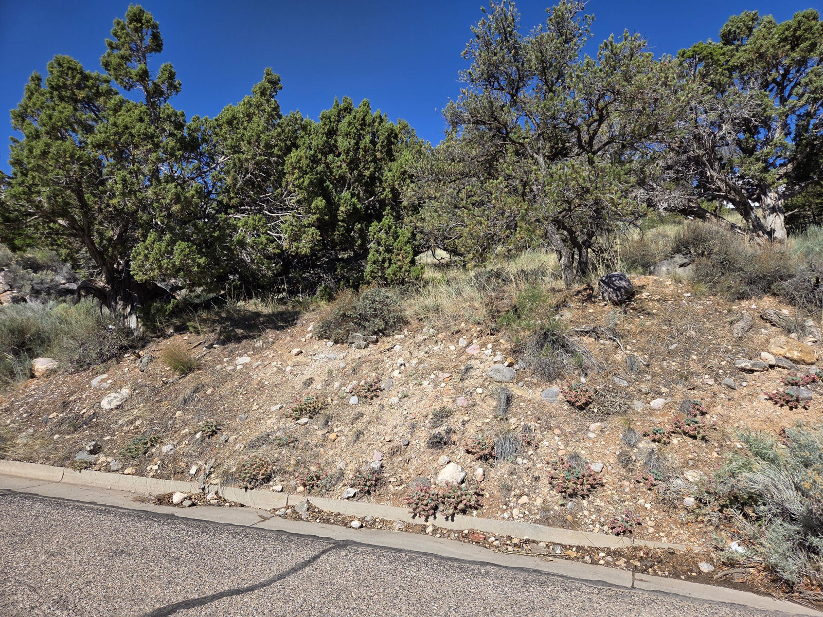 540 S Rose Hill RD, Cedar City, photo 15 of 20