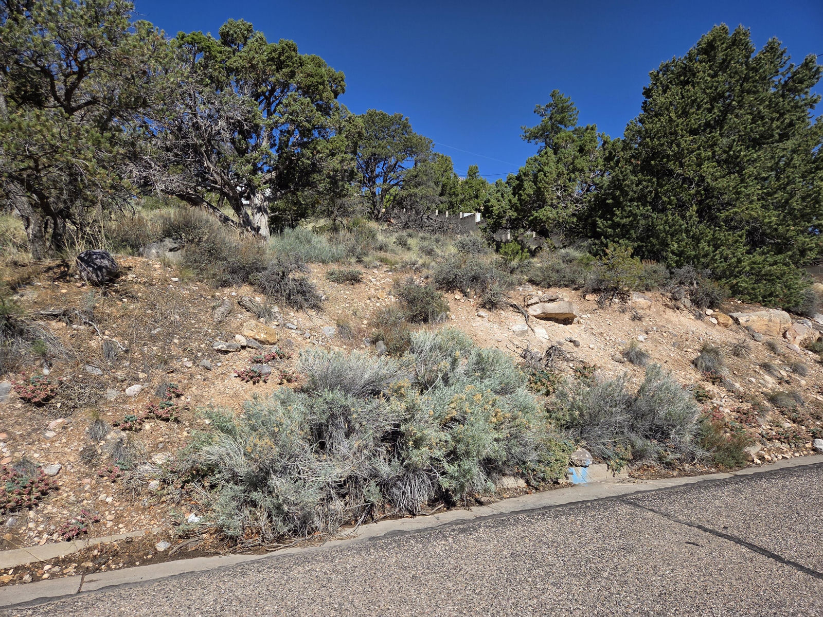 540 S Rose Hill RD, Cedar City, photo 16 of 20