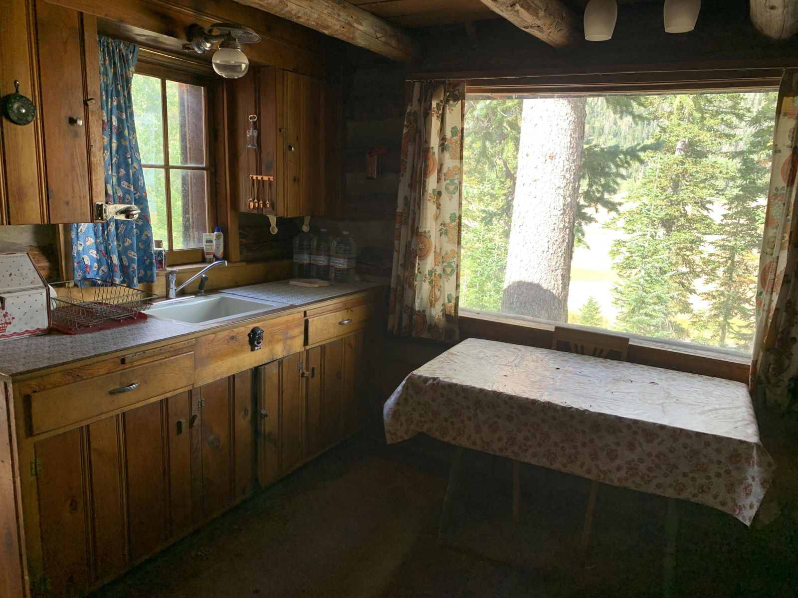 3740 N Rays Navajo View S, Duck Creek Village, photo 3 of 12
