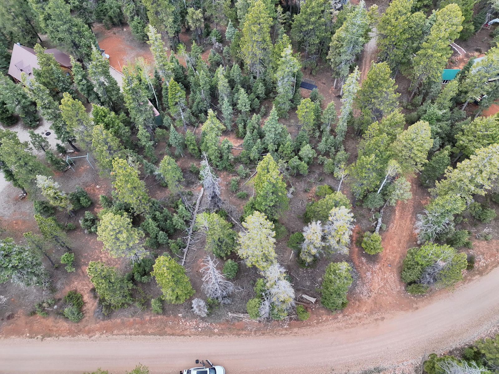 175 S Lupin LN, Duck Creek Village, photo 5 of 18