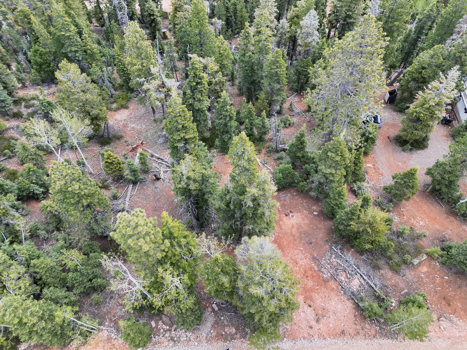 175 S Lupin LN, Duck Creek Village, photo 7 of 18
