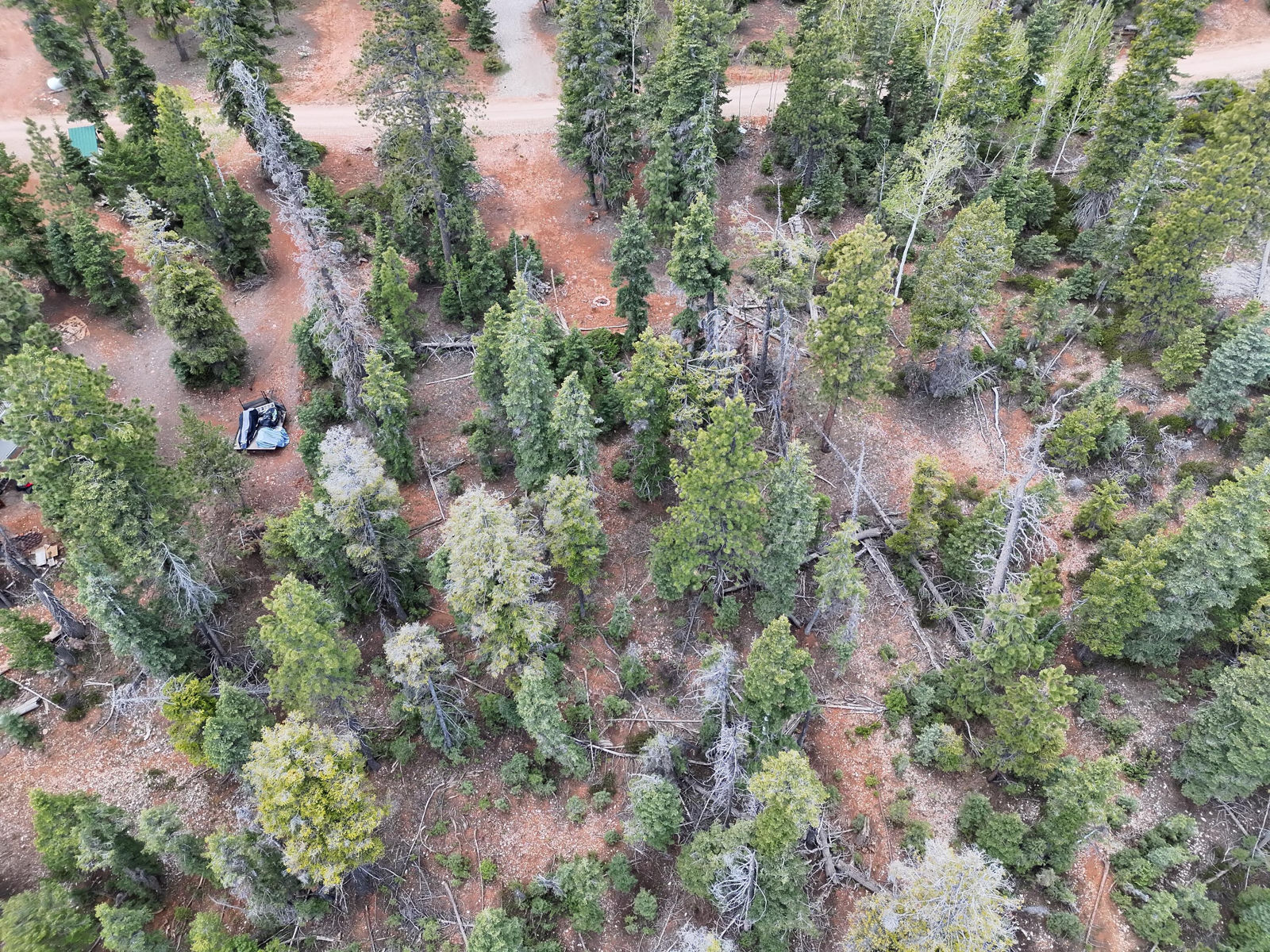 175 S Lupin LN, Duck Creek Village, photo 8 of 18