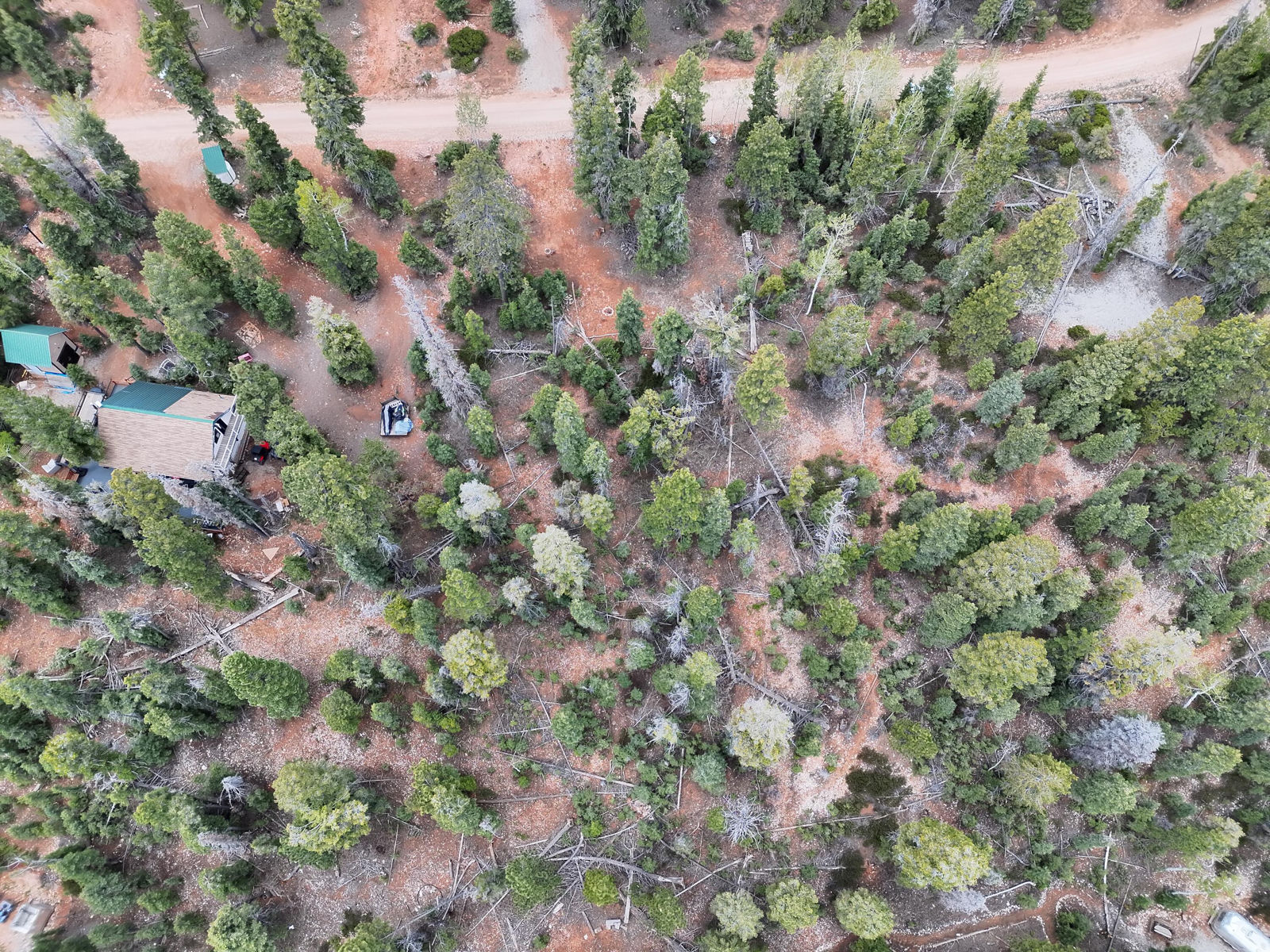 175 S Lupin LN, Duck Creek Village, photo 9 of 18