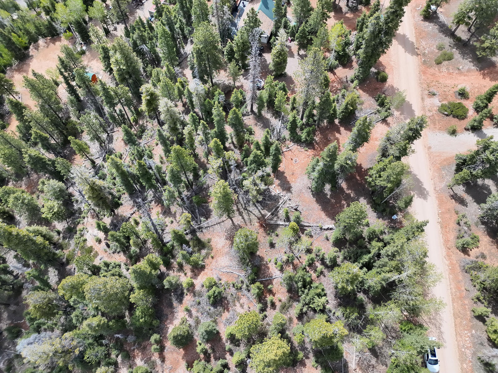 175 S Lupin LN, Duck Creek Village, photo 11 of 18