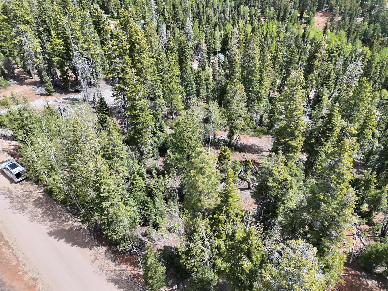 175 S Lupin LN, Duck Creek Village, photo 13 of 18