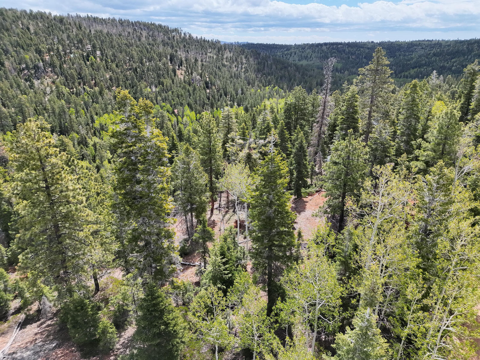 175 S Lupin LN, Duck Creek Village, photo 15 of 18