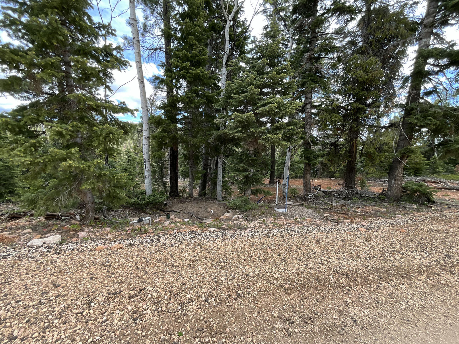 175 S Lupin LN, Duck Creek Village, photo 3 of 18