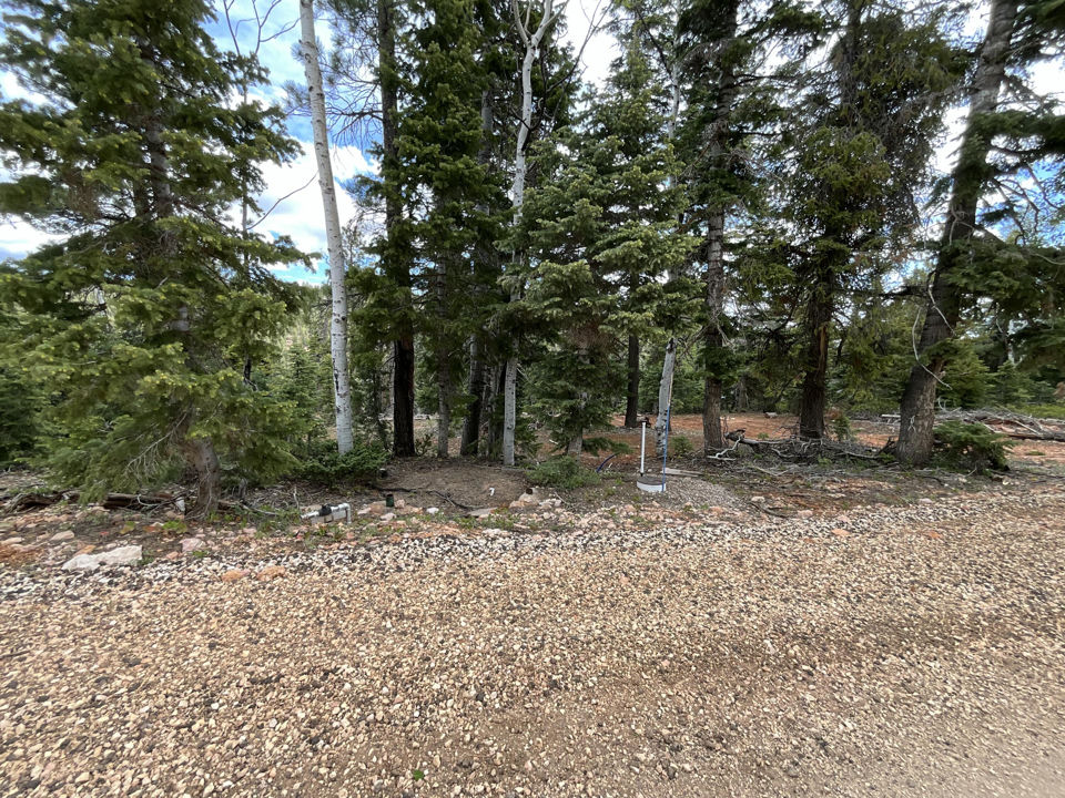 175 S Lupin LN, Duck Creek Village, photo 3