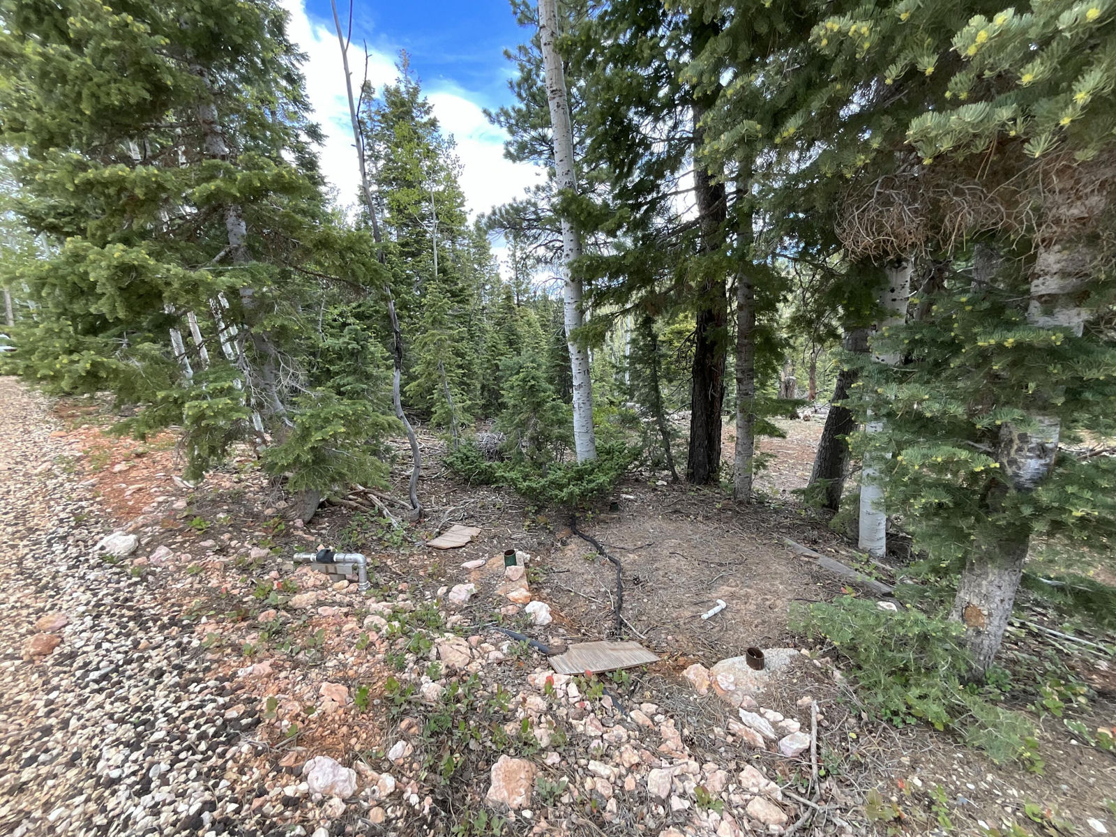 175 S Lupin LN, Duck Creek Village, photo 17 of 18