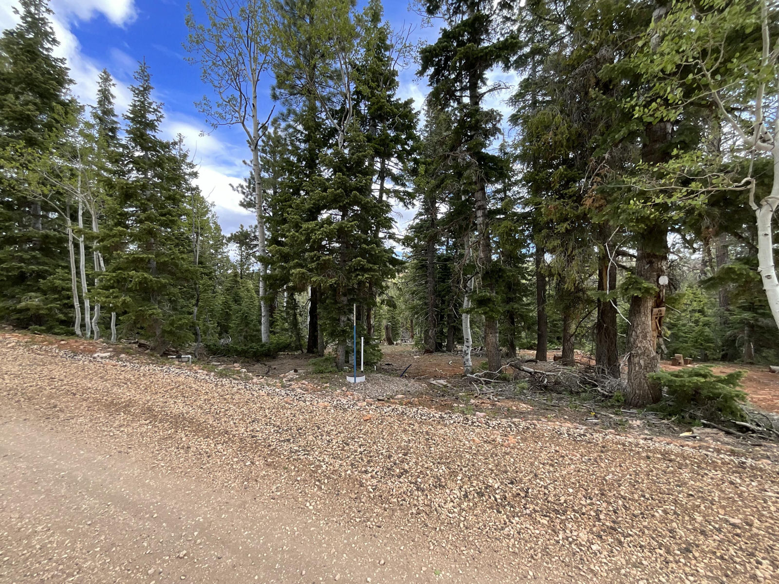 175 S Lupin LN, Duck Creek Village, photo 18 of 18