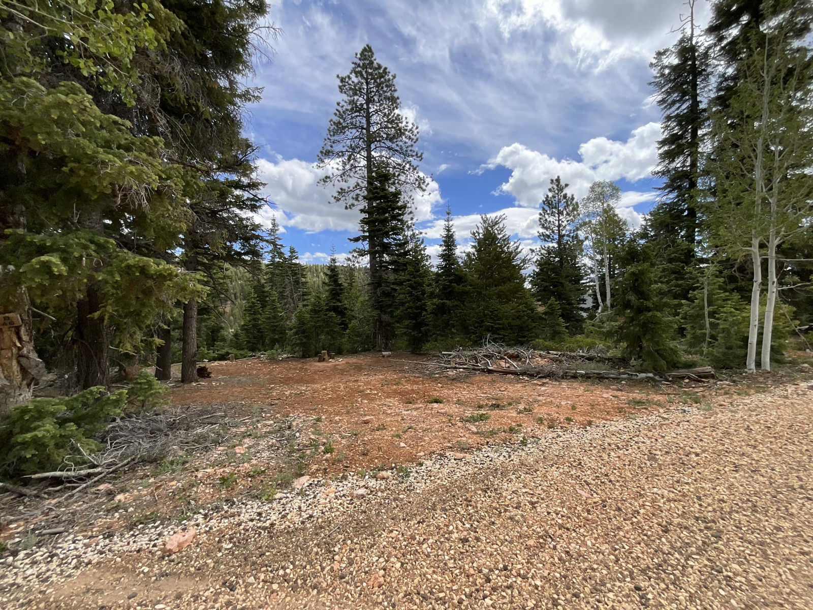 175 S Lupin LN, Duck Creek Village, photo 1