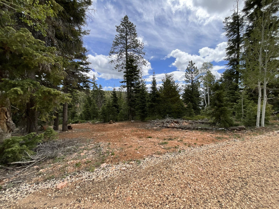 175 S Lupin LN, Duck Creek Village