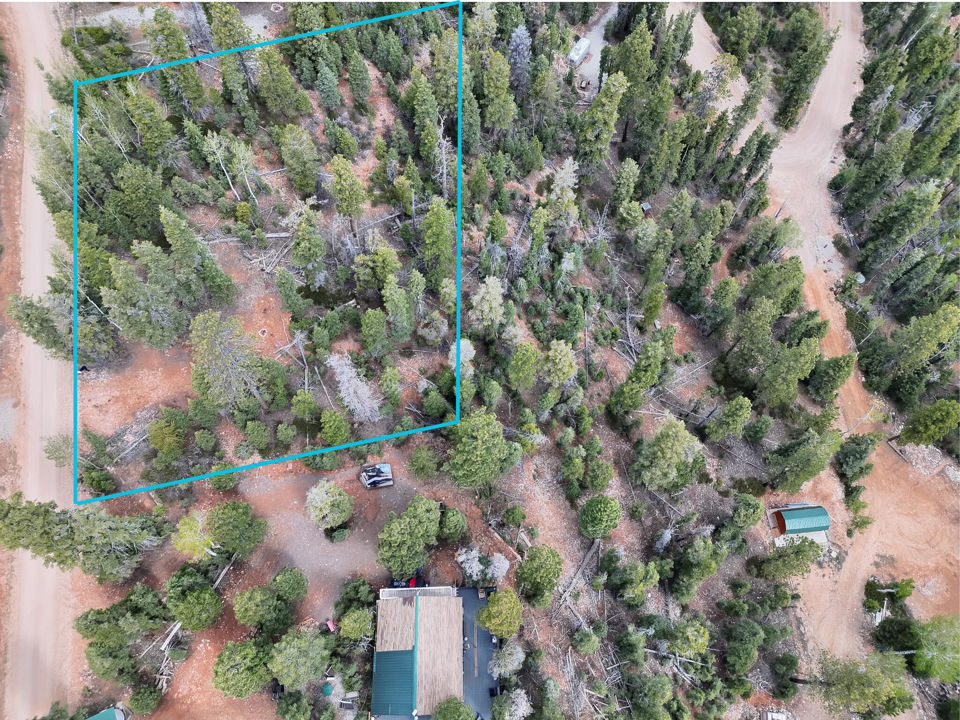 175 S Lupin LN, Duck Creek Village, photo 2