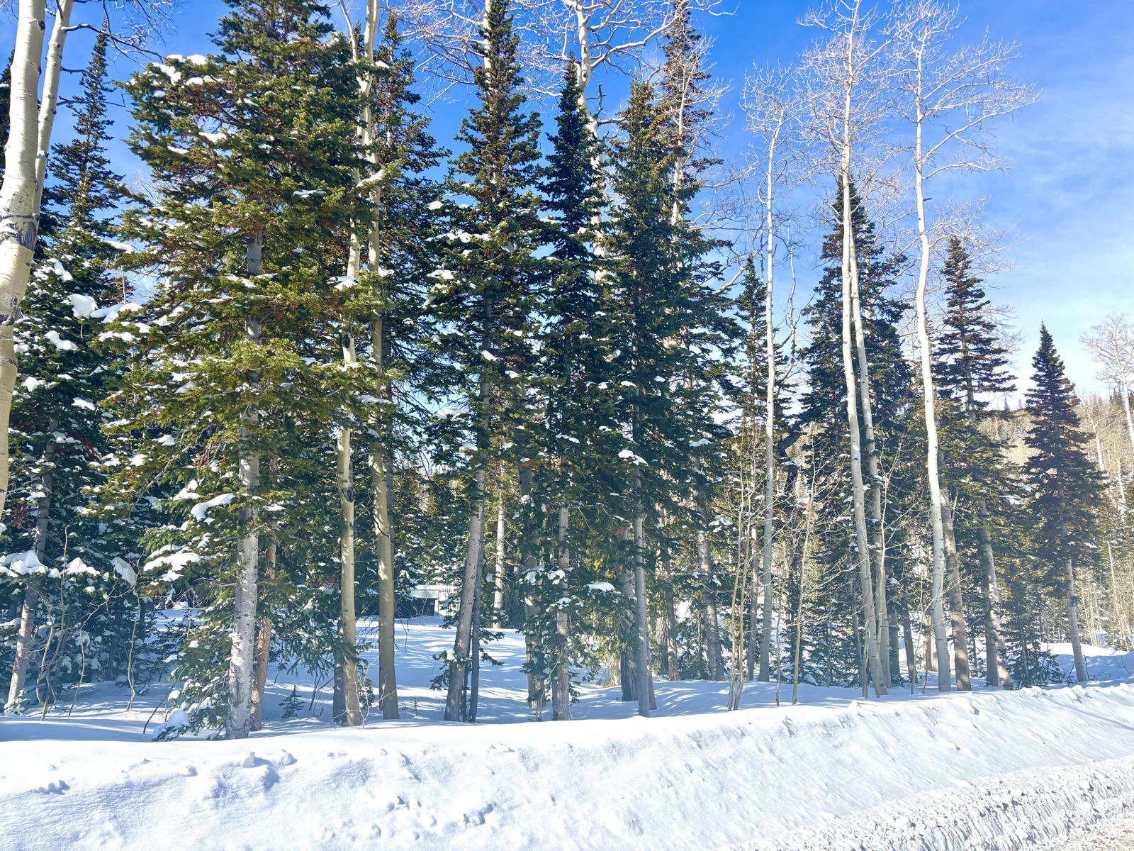 Lot 71, Trails at Navajo, Brian Head, photo 5 of 9