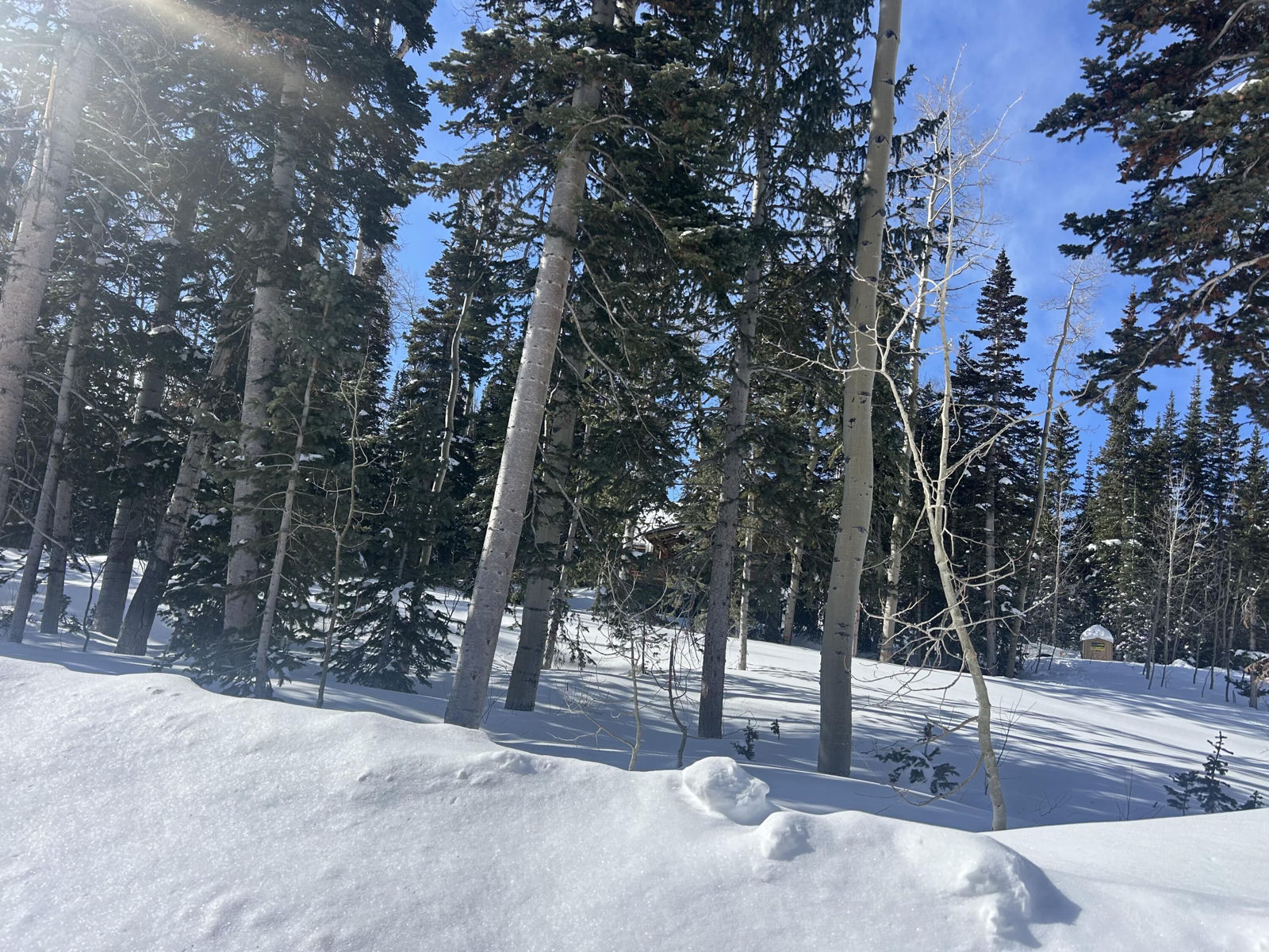 Lot 71, Trails at Navajo, Brian Head, photo 7 of 9