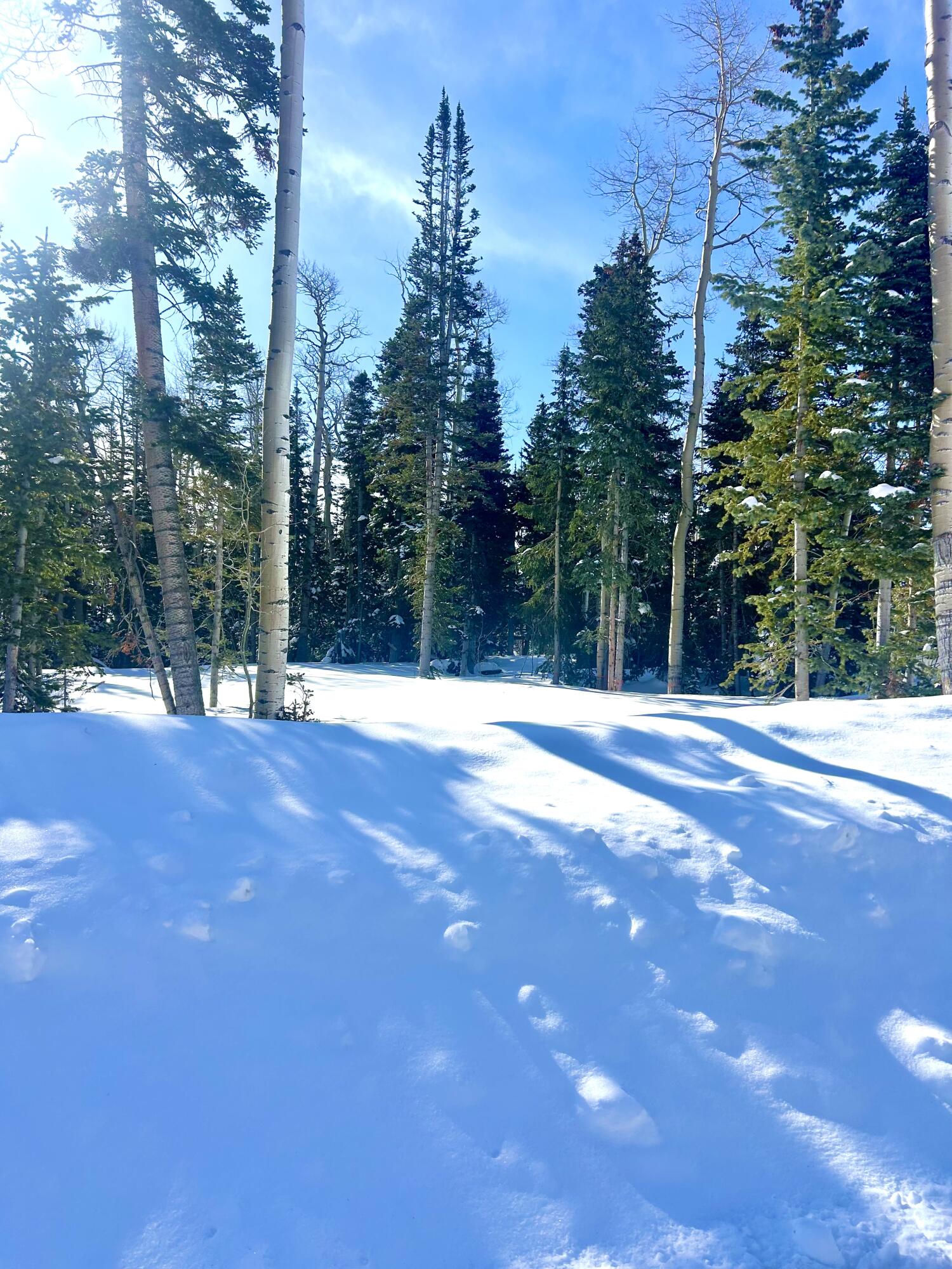 Lot 71, Trails at Navajo, Brian Head, photo 8 of 9