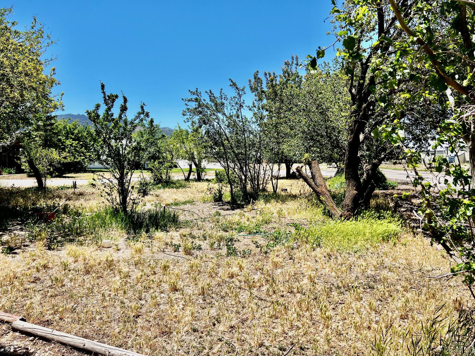 451 W 500 N, Parowan, photo 13 of 24