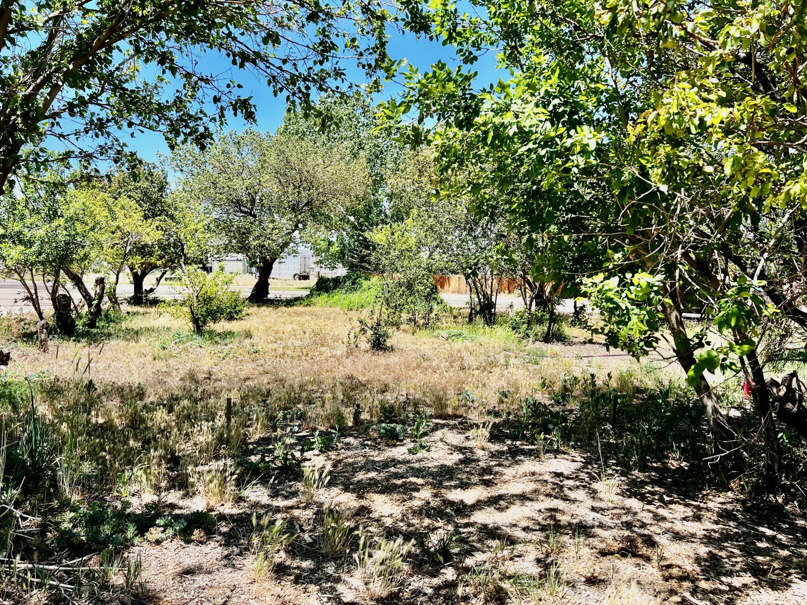 451 W 500 N, Parowan, photo 14 of 24