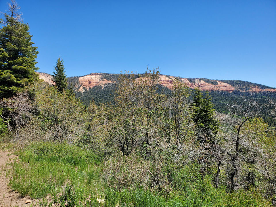 Lot 6 North Fork Estates, Duck Creek Village