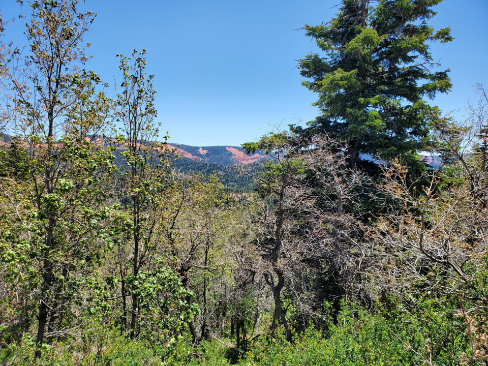 Lot 6 North Fork Estates, Duck Creek Village, photo 2