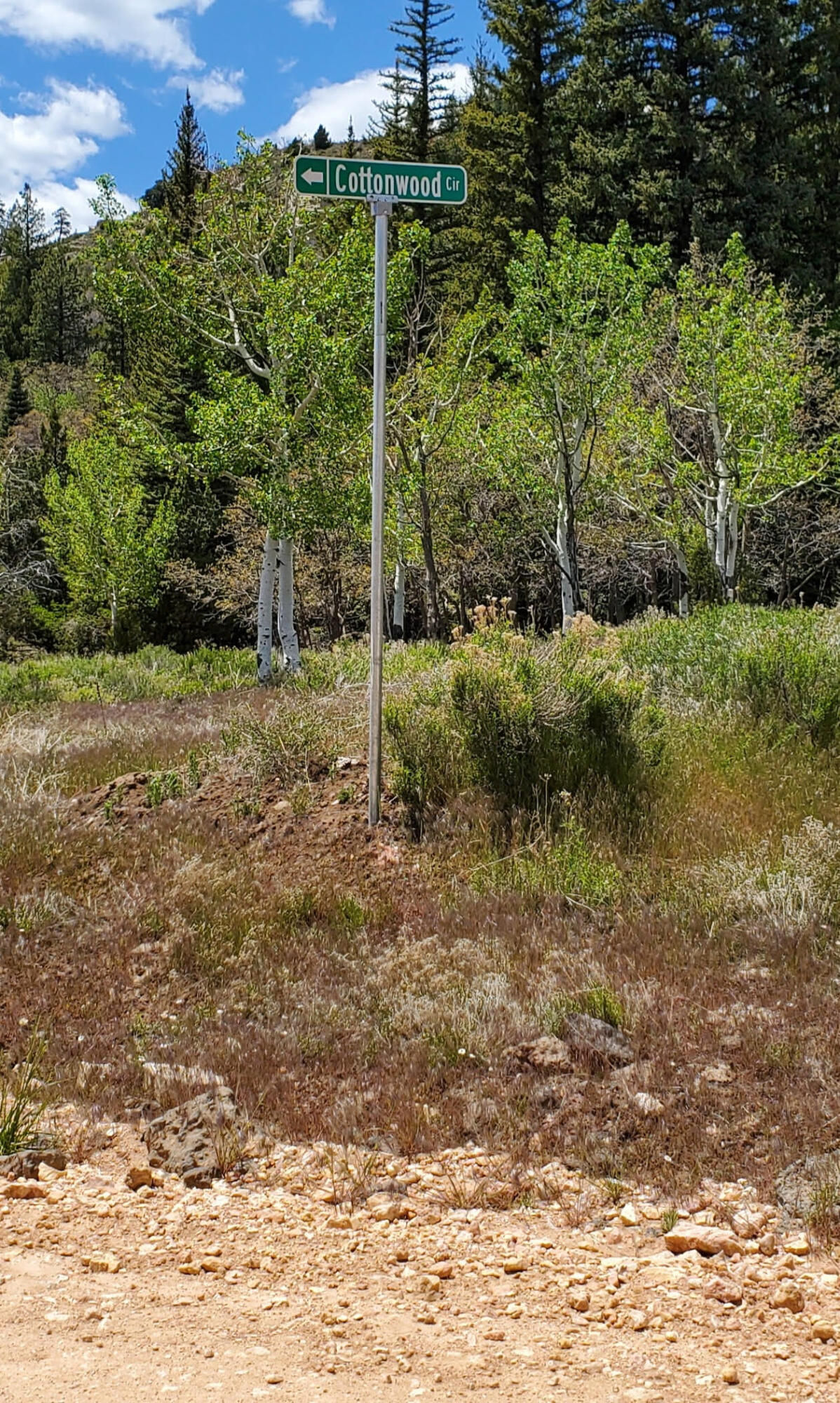 Lot 6 North Fork Estates, Duck Creek Village, photo 3 of 5