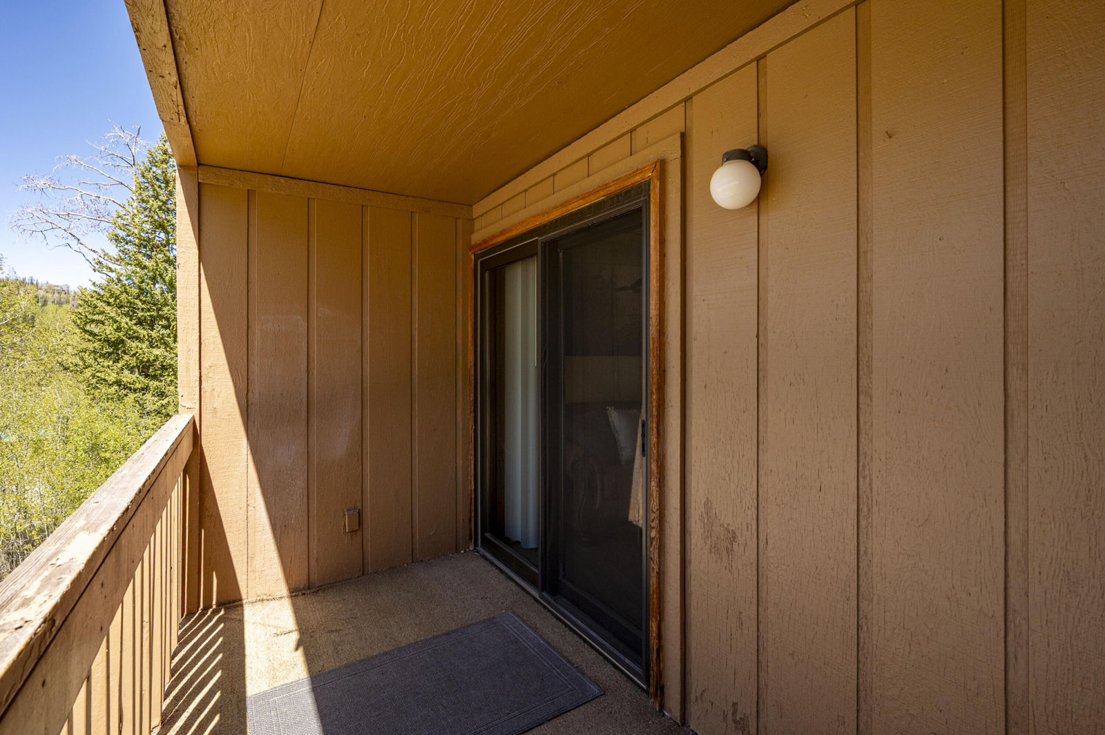 117 E Steam Engine DR, #1A, Brian Head, photo 20 of 28