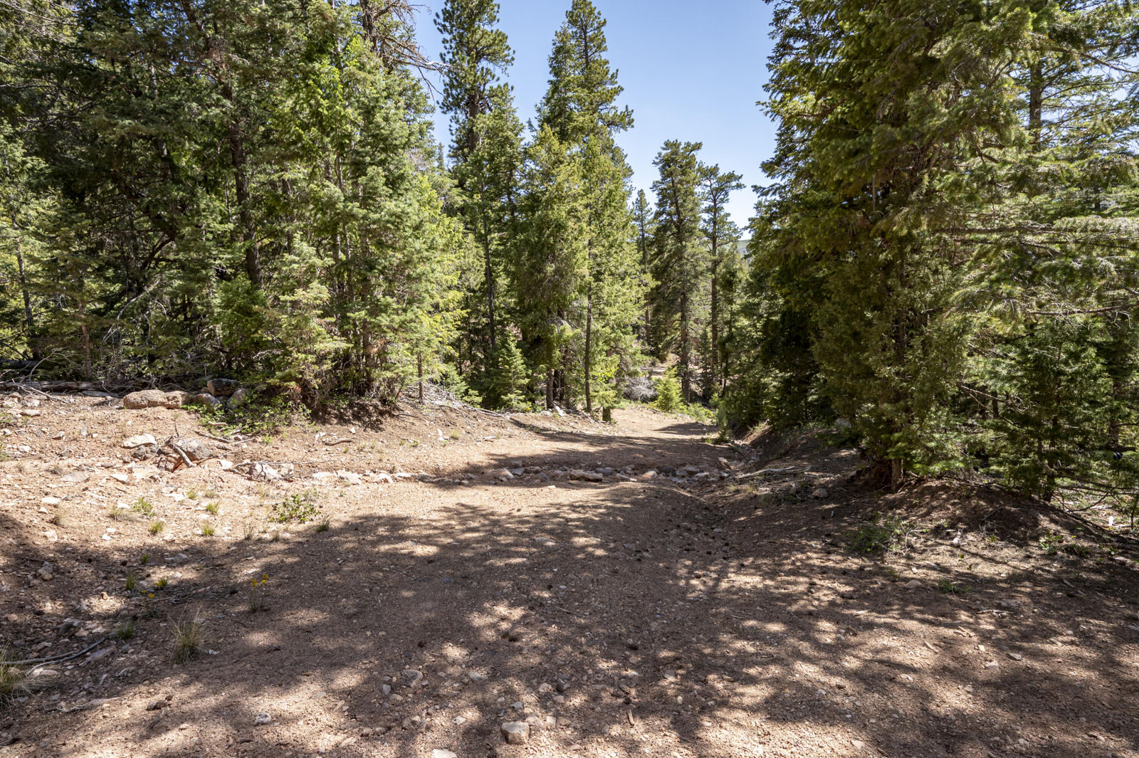 3706 S Aspen Way, Lot 88, 3200 Subdivision, Summit, photo 29 of 57