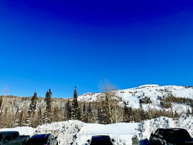 226 S Highway 143, #16-b, Brian Head, photo 22 of 23
