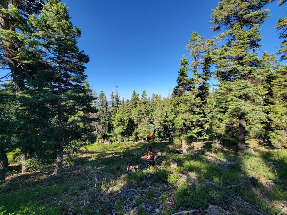 6220 W Brook LN, Duck Creek Village