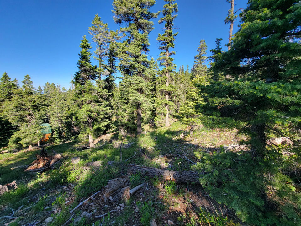 6220 W Brook LN, Duck Creek Village, photo 2