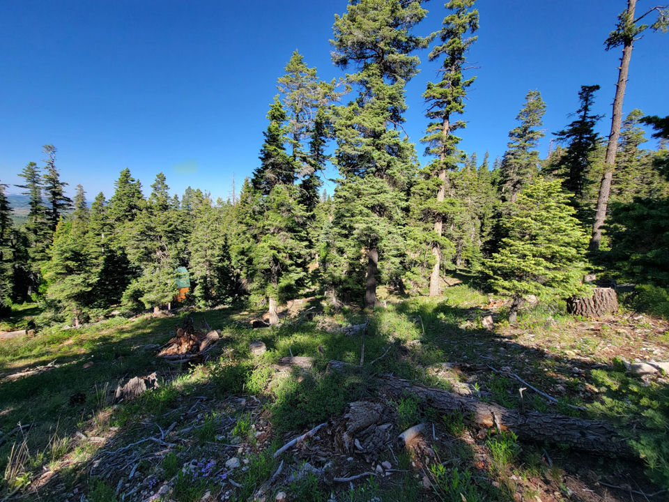 6220 W Brook LN, Duck Creek Village, photo 3