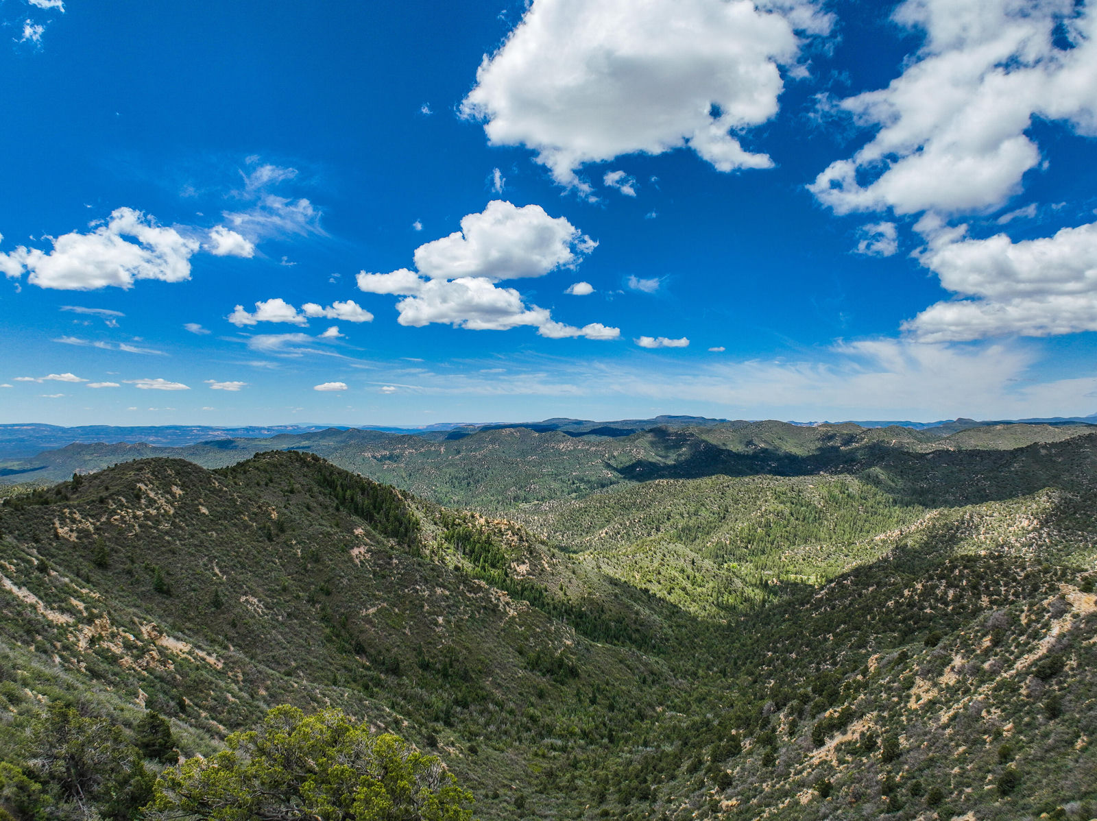 T39S;R8W;Section 26, Duck Creek Village, photo 1