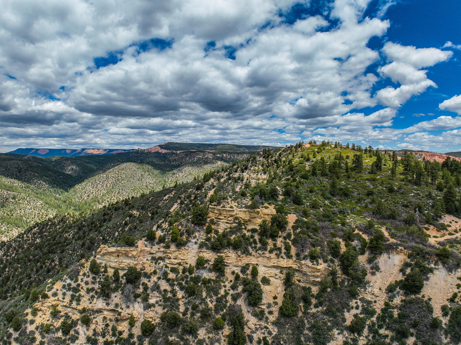 T39S;R8W;Section 26, Duck Creek Village, photo 3 of 29
