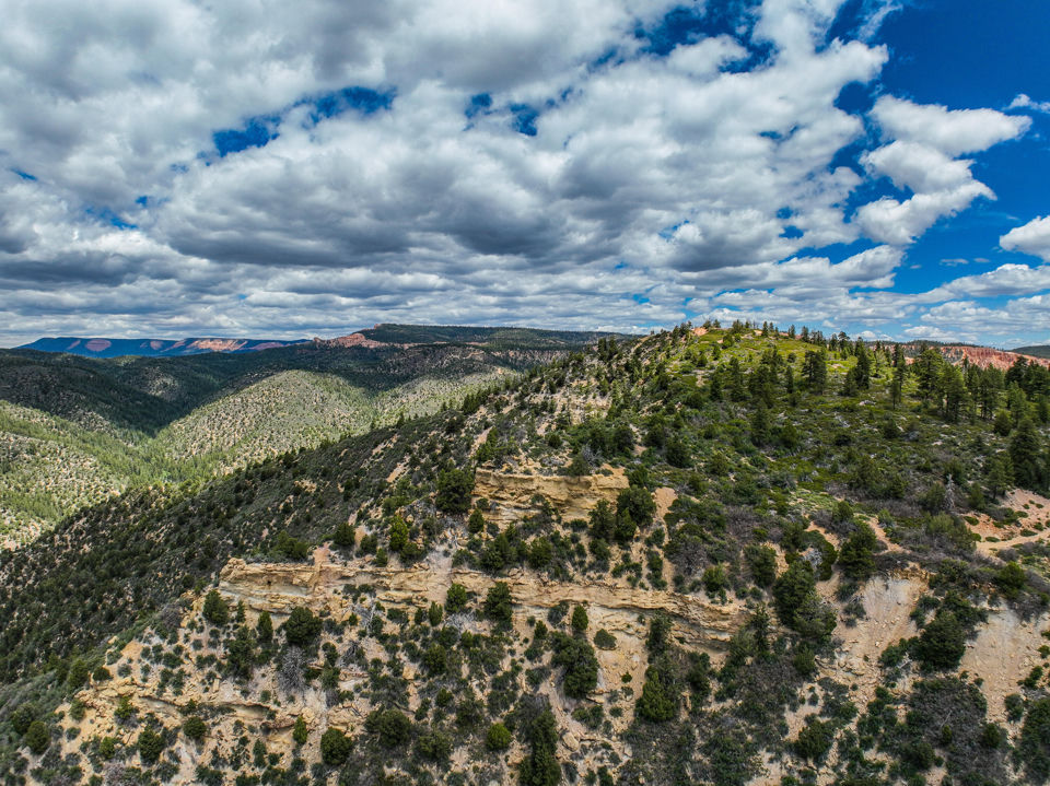T39S;R8W;Section 26, Duck Creek Village, photo 3