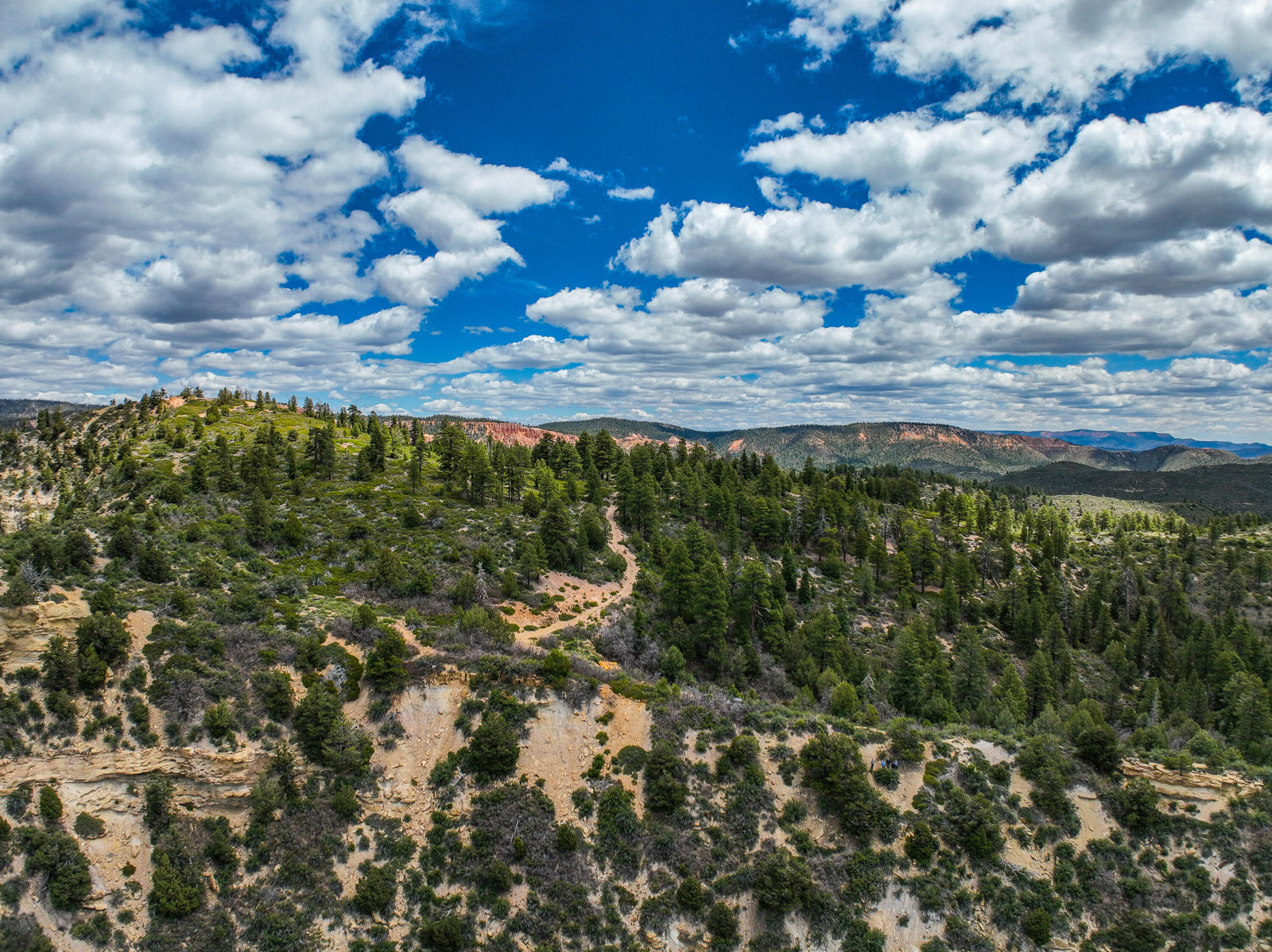 T39S;R8W;Section 26, Duck Creek Village, photo 4 of 29