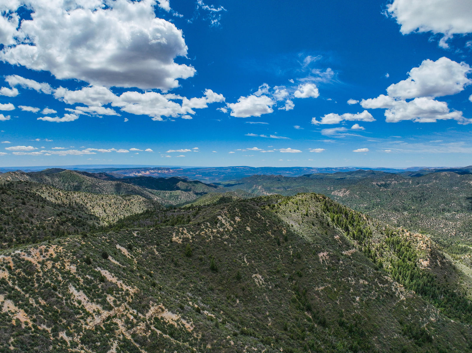 T39S;R8W;Section 26, Duck Creek Village, photo 5 of 29