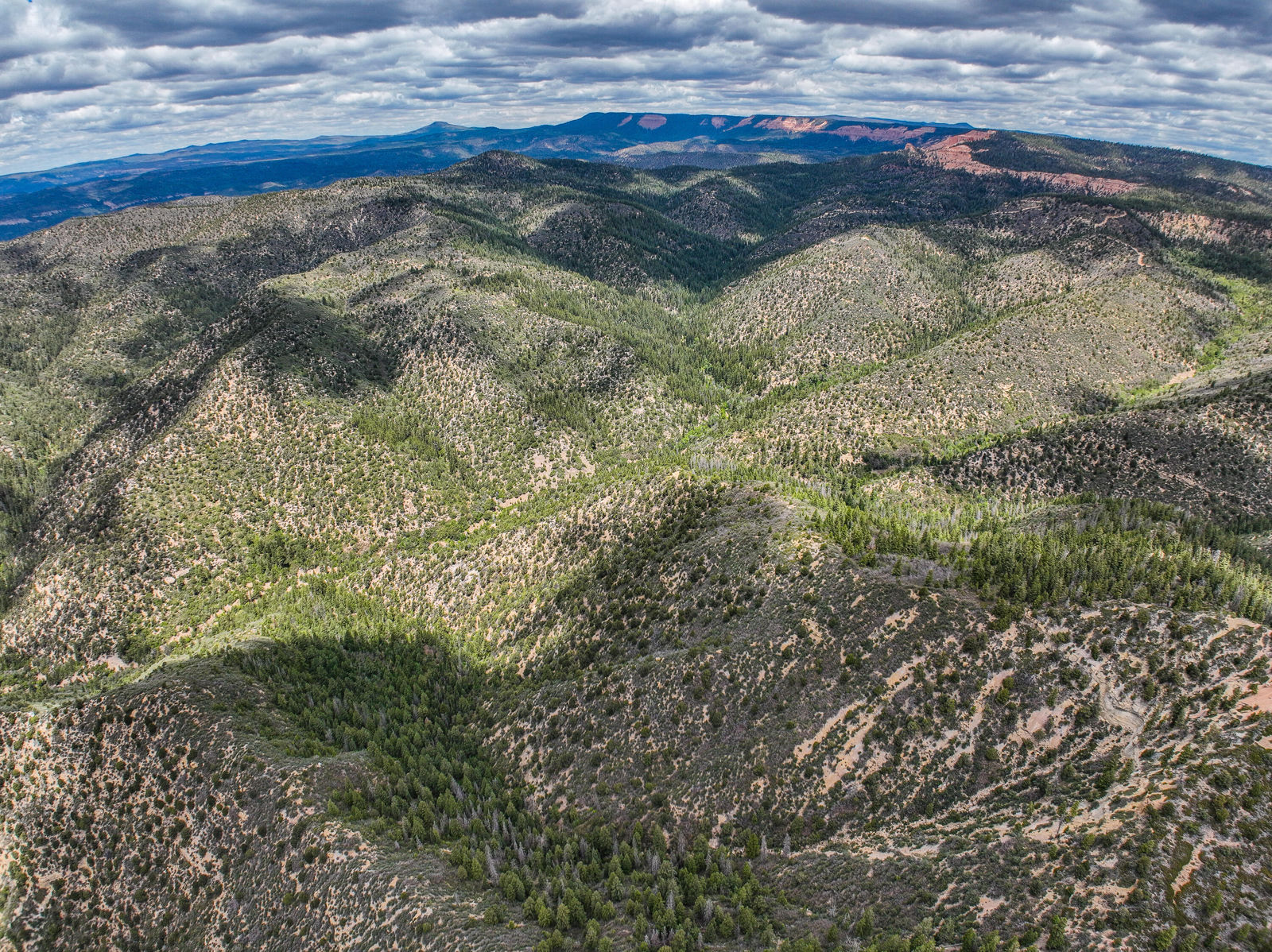 T39S;R8W;Section 26, Duck Creek Village, photo 8 of 29