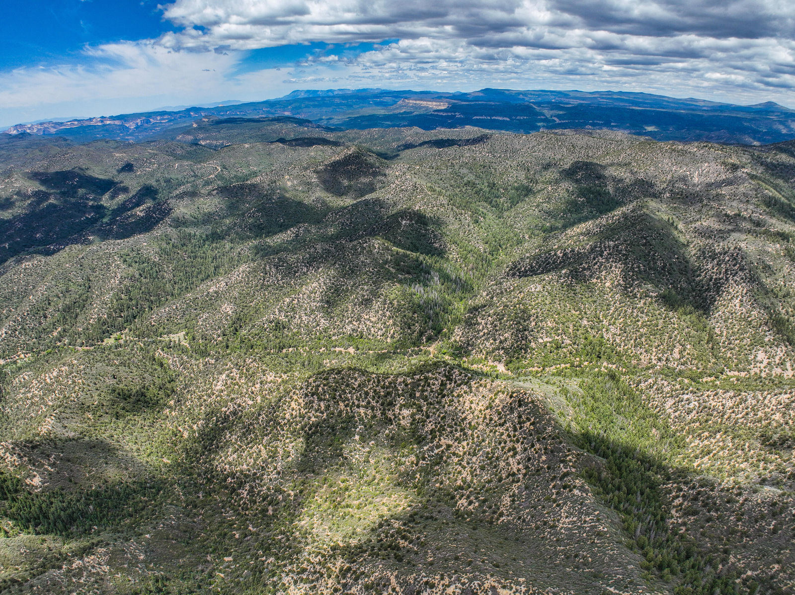 T39S;R8W;Section 26, Duck Creek Village, photo 14 of 29