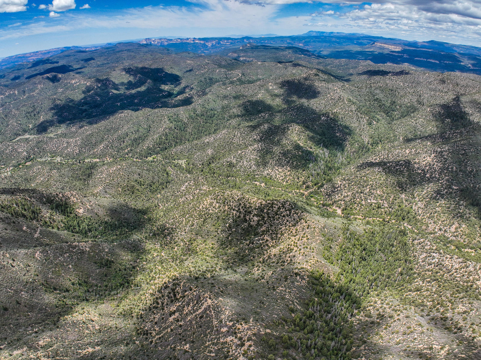 T39S;R8W;Section 26, Duck Creek Village, photo 17 of 29