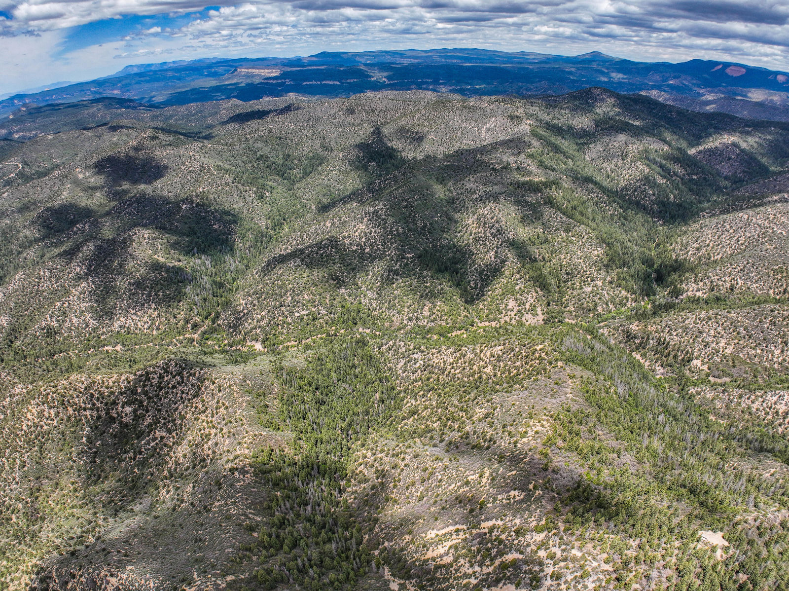 T39S;R8W;Section 26, Duck Creek Village, photo 18 of 29