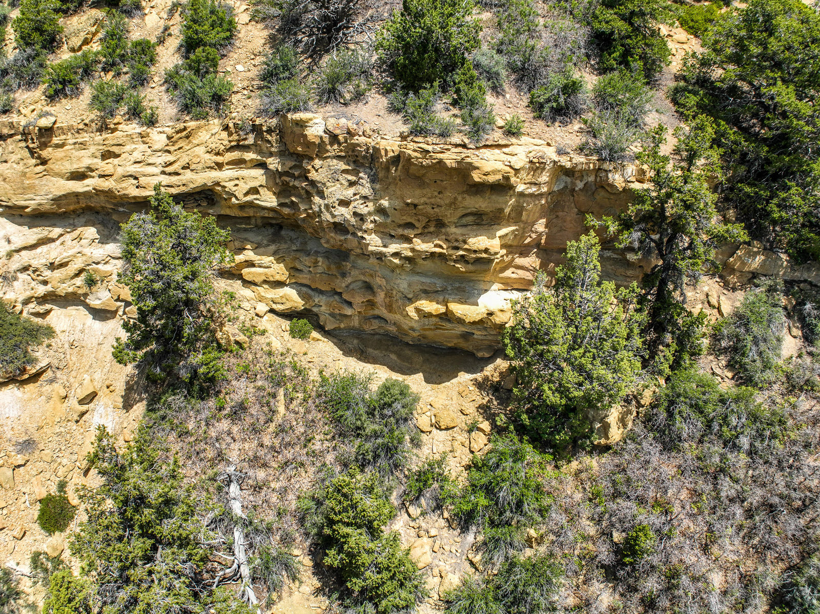 T39S;R8W;Section 26, Duck Creek Village, photo 21 of 29