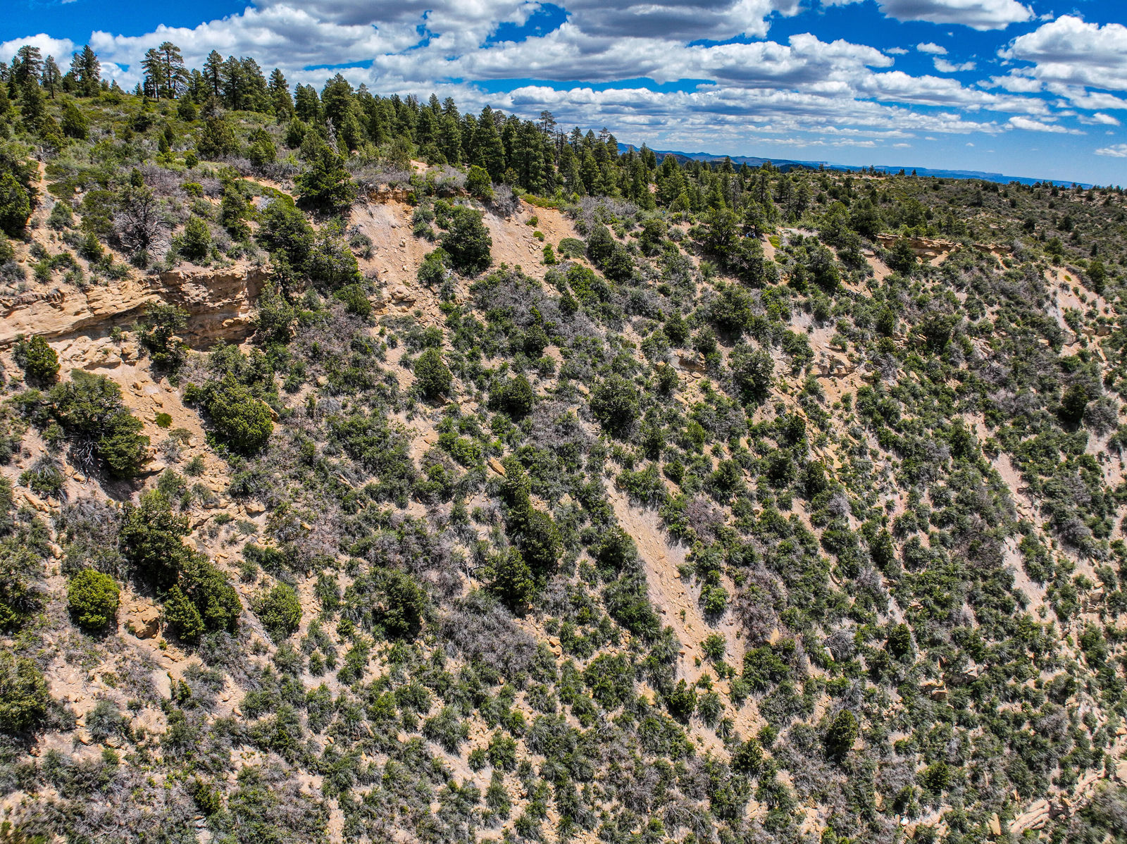 T39S;R8W;Section 26, Duck Creek Village, photo 23 of 29