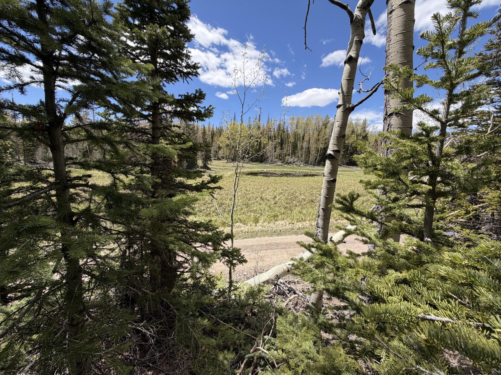 370 N Arrowleaf DR, Brian Head, photo 1