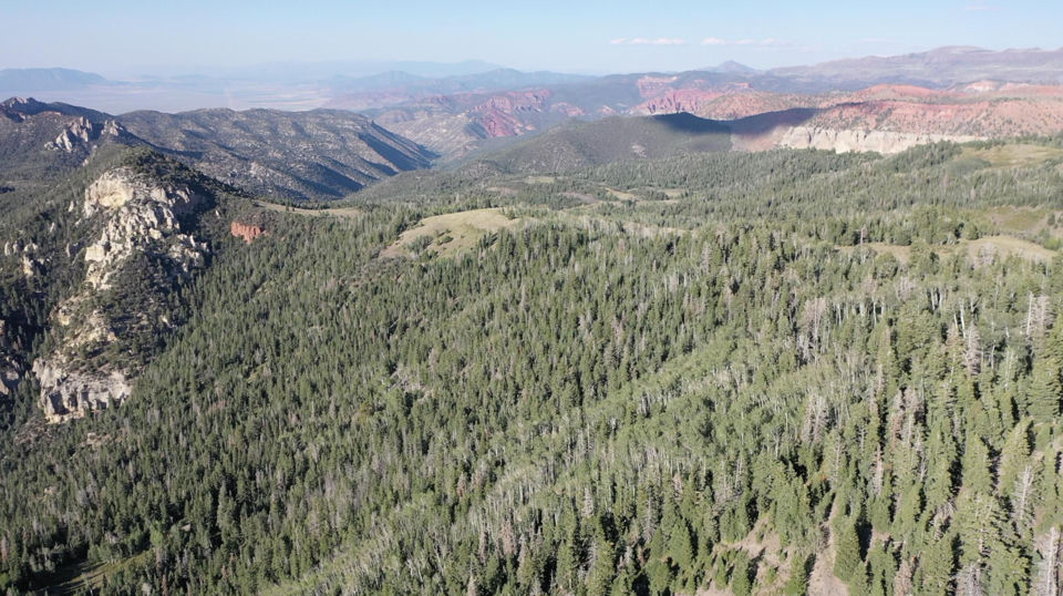 20 Acres Near Dry Lakes Road, Brian Head