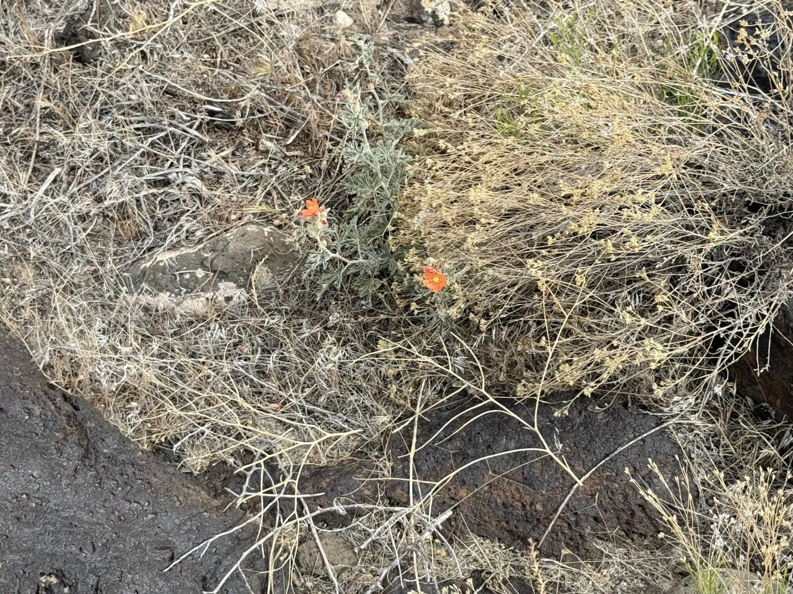 W 5800 S Street ST, Kanosh, photo 10 of 20