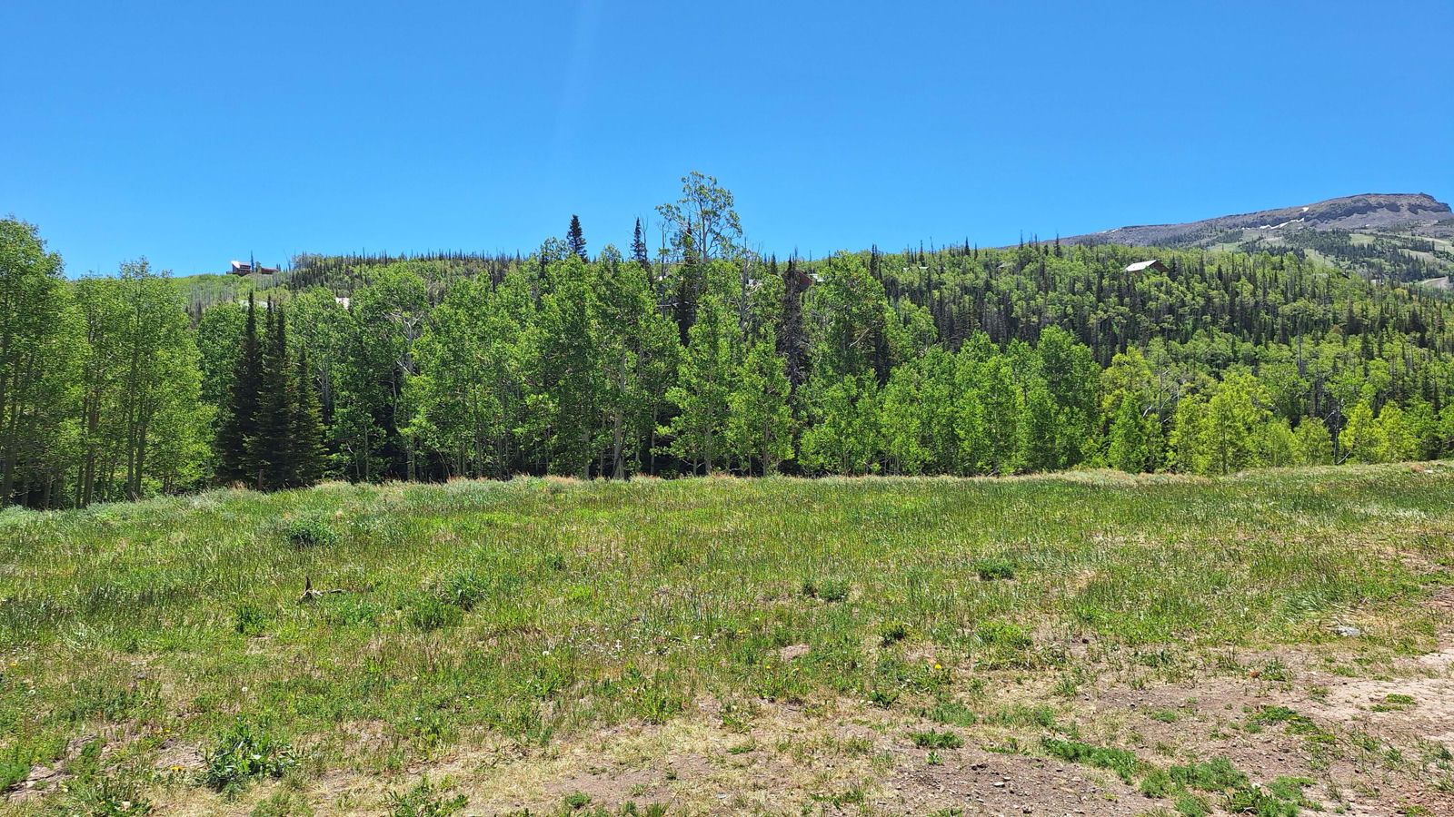 464 N Hwy 143, B103, Brian Head, photo 43 of 43