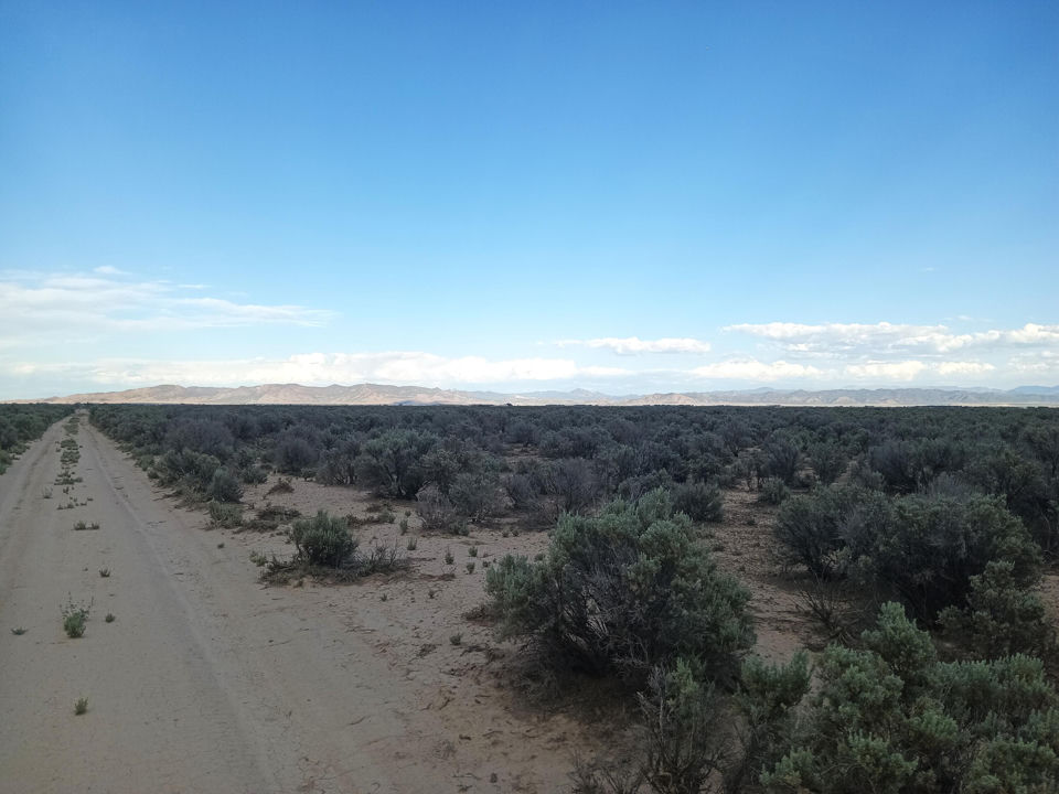 20 Acres Sec10 T35S R17W, Beryl, photo 3